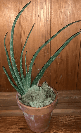 HILLCREST BASKETS & GREENHOUSE LLC