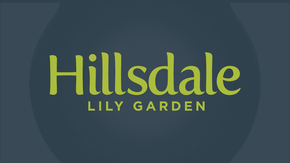 Hillsdale Lily Garden