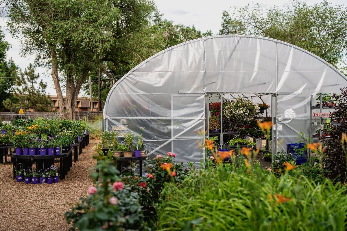 Hillside Garden Center