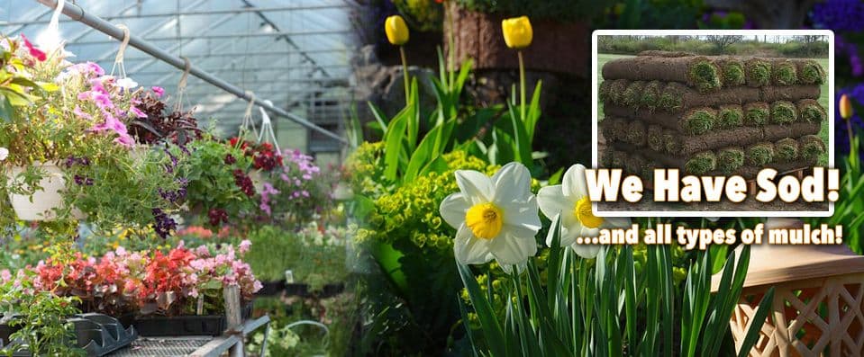 Hillside Nursery