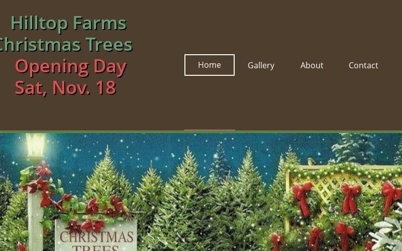 Hilltop Farms Christmas Trees