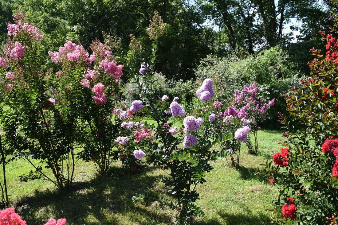 Hilltop Farms NJ