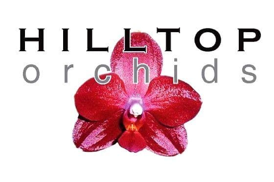 Hilltop Orchids