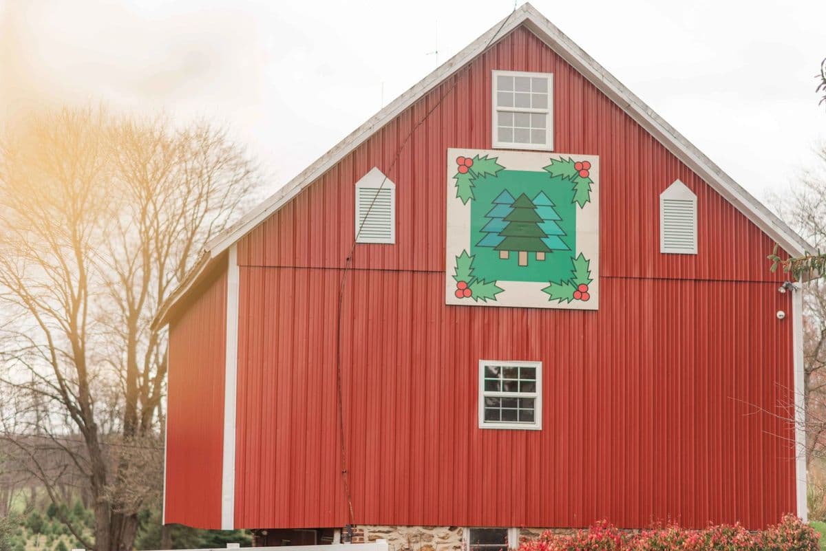 Hirt Tree Farm