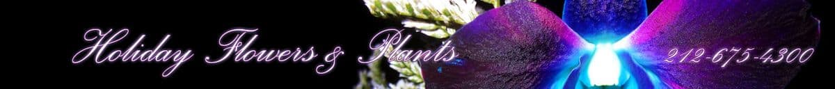 Holiday Flower & Plant, Inc