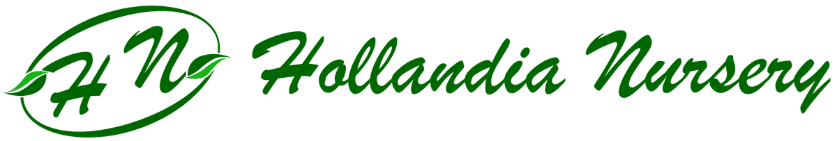 Hollandia Nursery Inc.