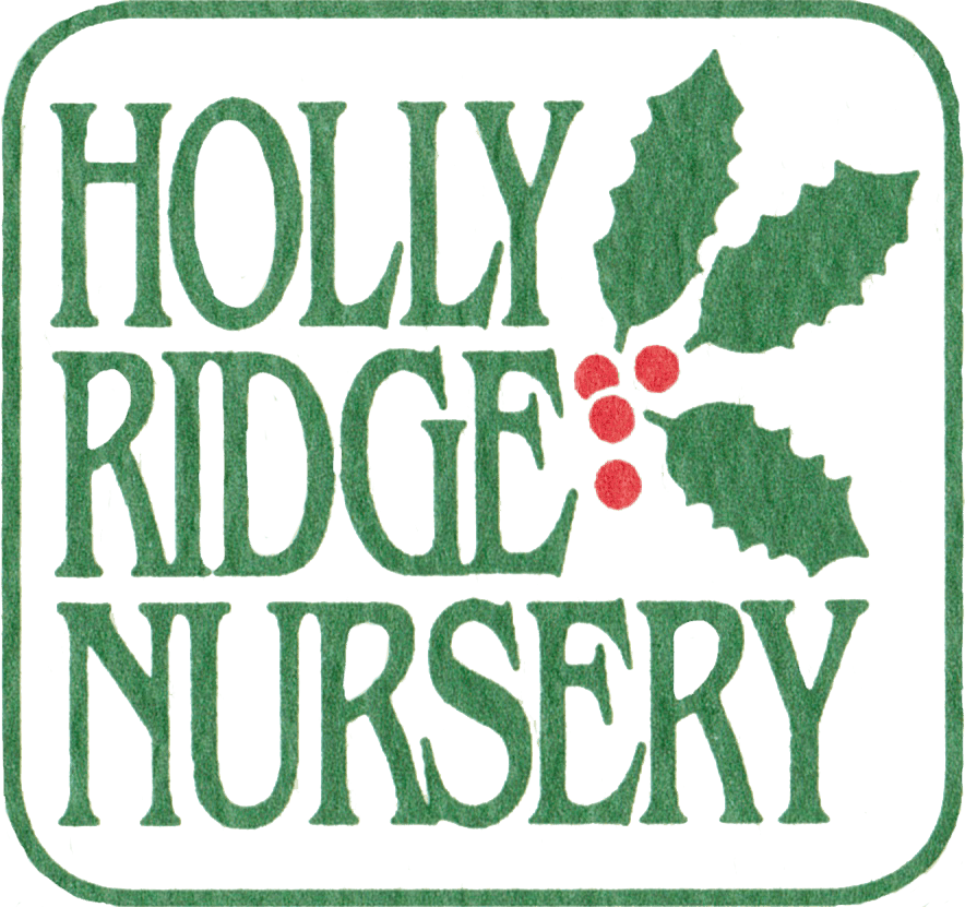 Holly Ridge Nursery