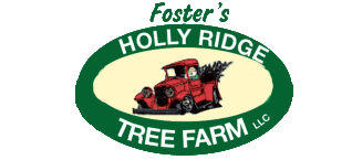 Holly Ridge Tree Farm