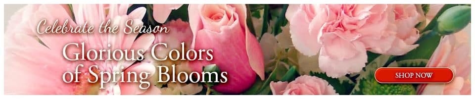 Hollywood Florist