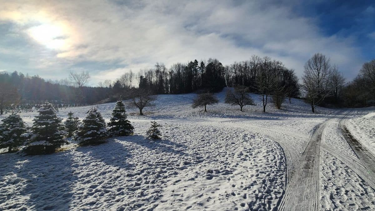 Holmes Hollow Farm