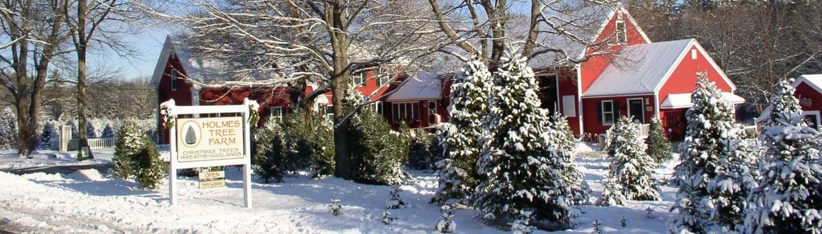 Holmes Tree Farm