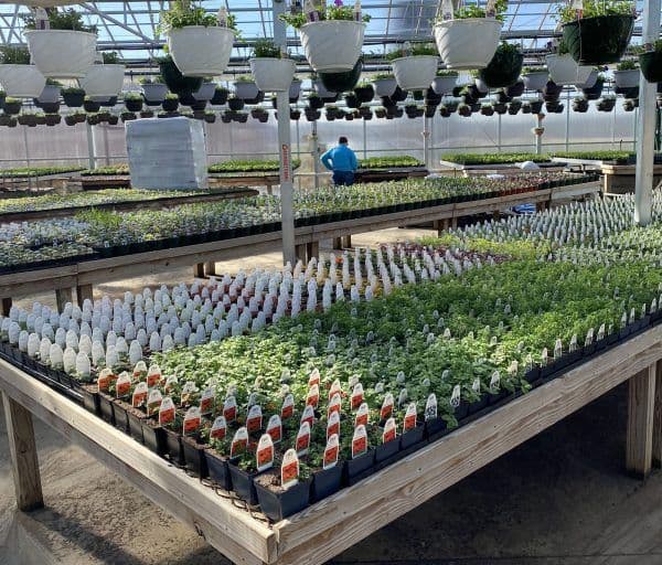 Holmquest Farms & Greenhouse