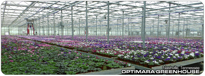 Holtkamp Greenhouses Inc