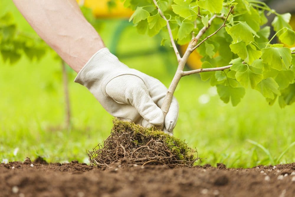 Home Grown Resource Group