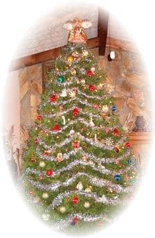Homestead Christmas Tree Farm