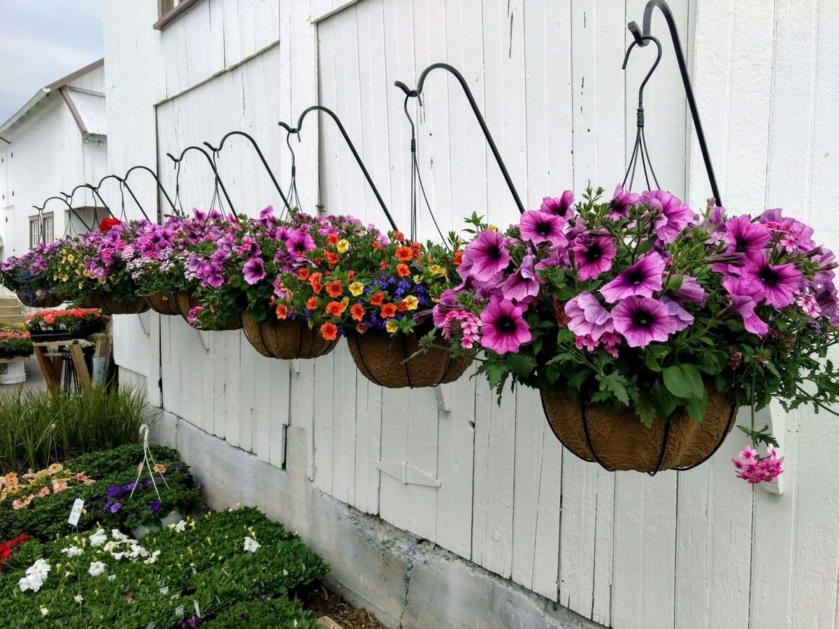 Homestead Gardens