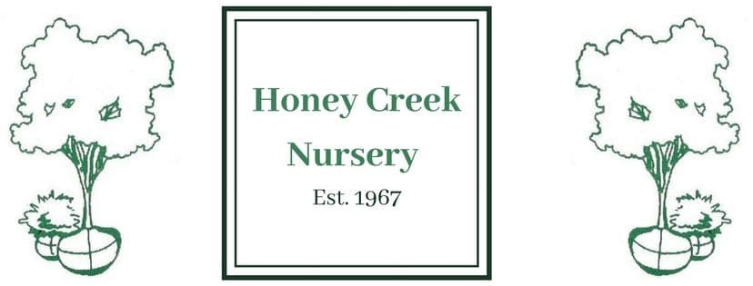 Honey Creek Nursery Wholesale