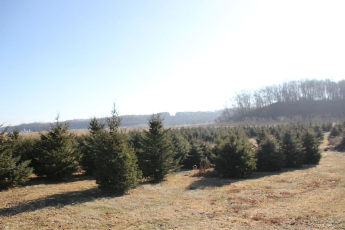 Honey Creek Tree Nursery