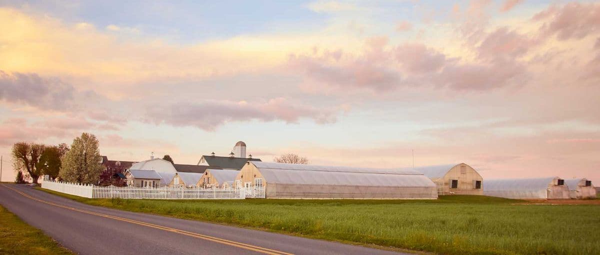 Hoover's Farm Market & Greenhouses