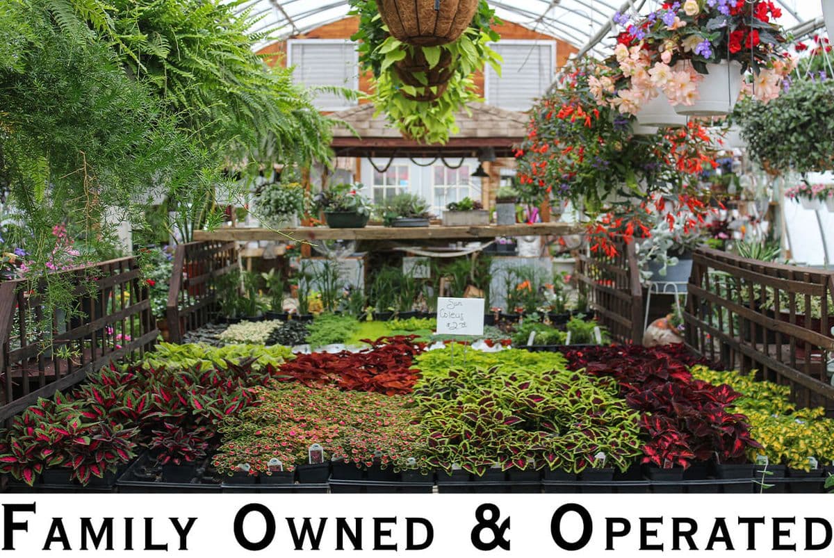 Hoover's Greenhouse