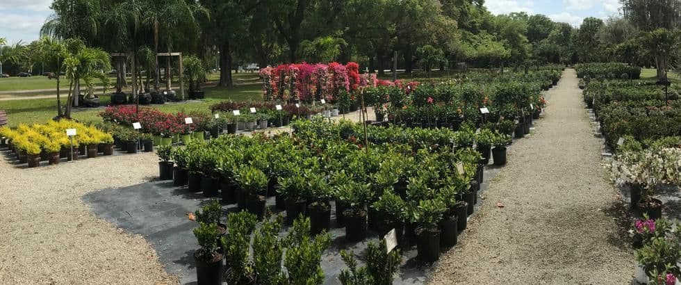 Horticultural Services Inc