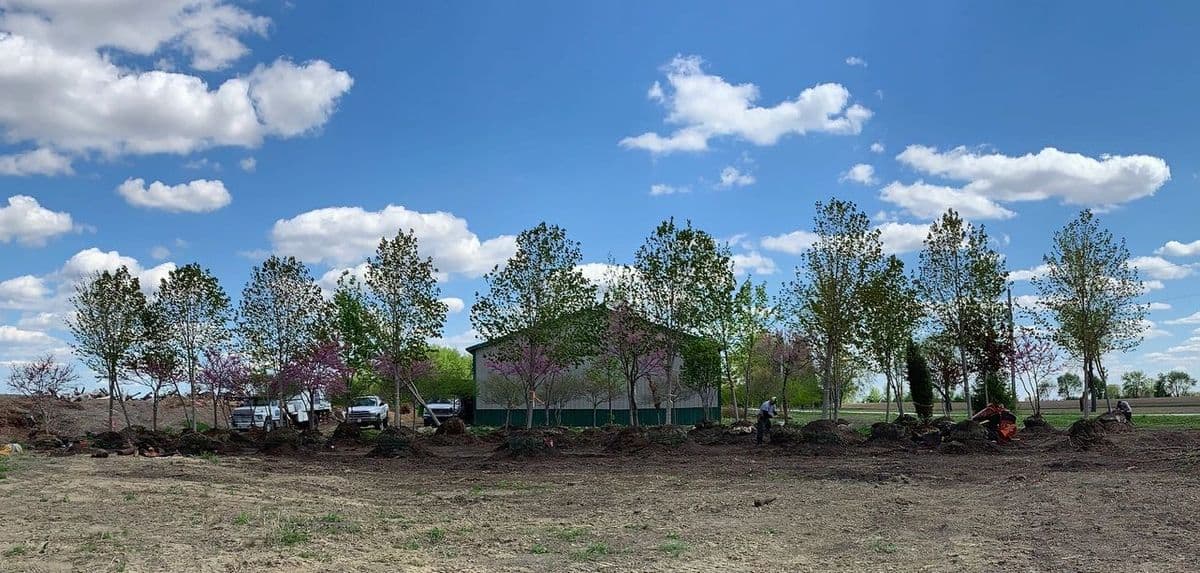 Hoss Tree Farm