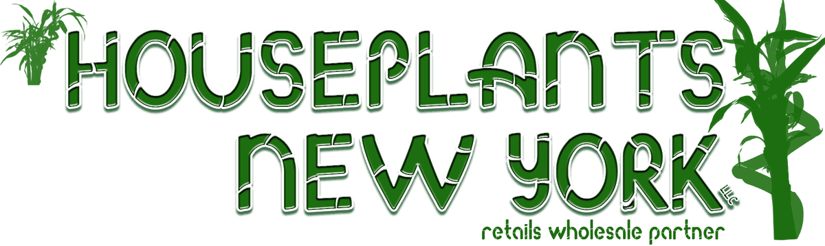 Houseplants New York LLC