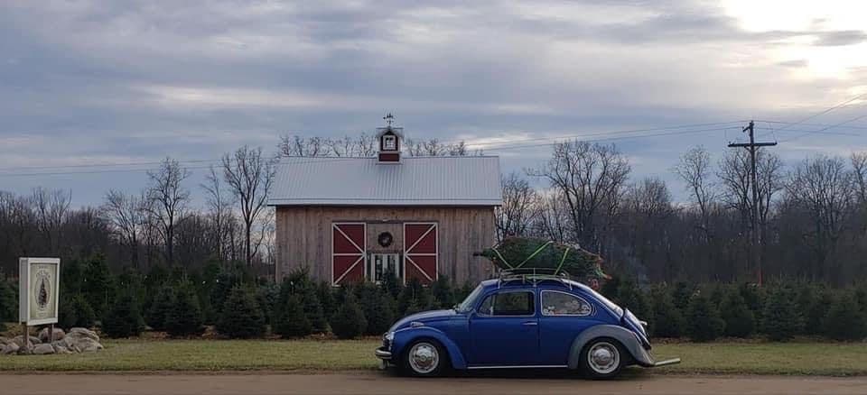 Howard Tree Farm