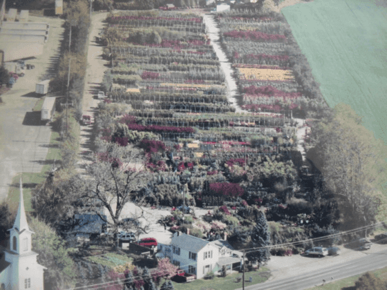 Howell Wholesale Nursery