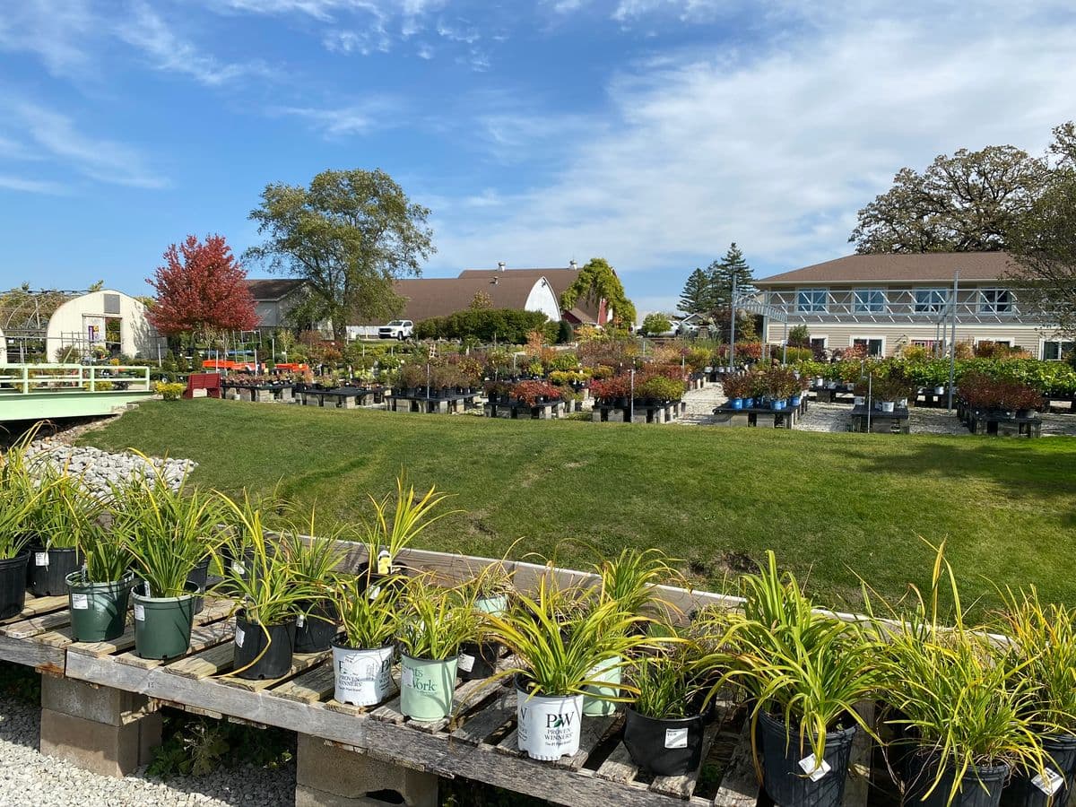 Hubinger Landscaping Corporation