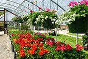 Hubrich Farms