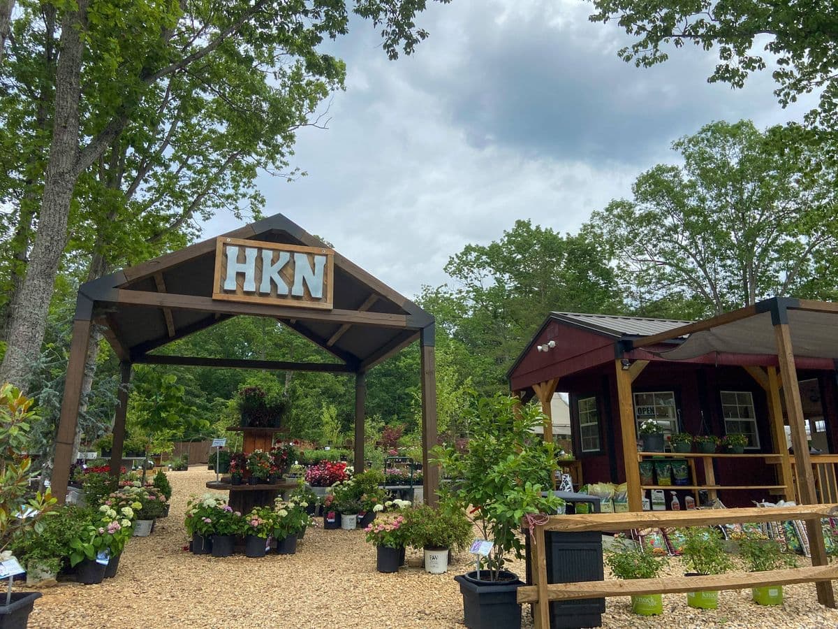Huckleberry Knob Nursery