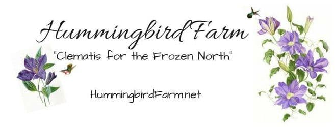 Hummingbird Farm