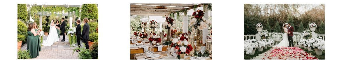 Hummingbird Gardens