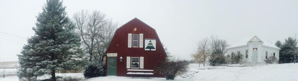 Hunter Brothers Tree Farm
