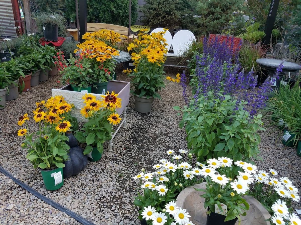 Hunter's Nursery