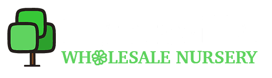 Huntsville Nursery & Garden
