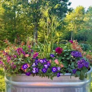 Hyannis Country Garden