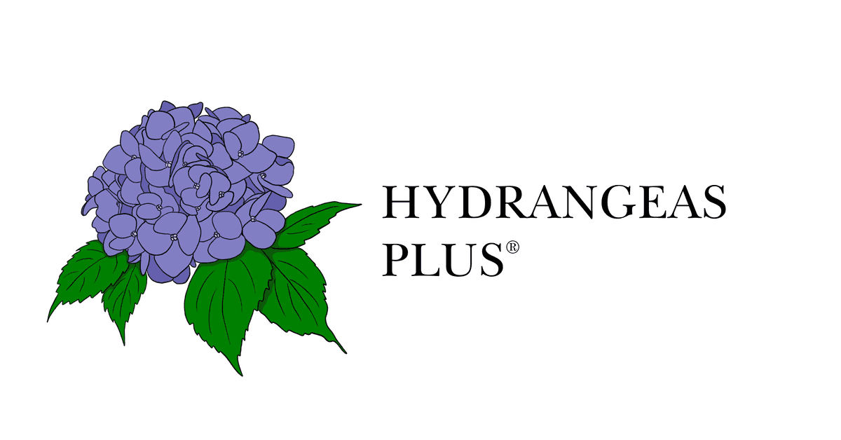 Hydrangeas Plus - See Event Calendar for open dates