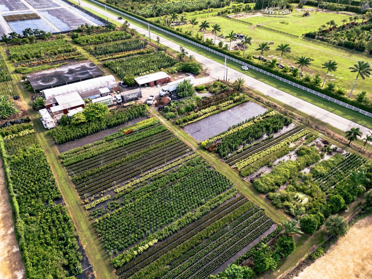 I.G Plant Broker