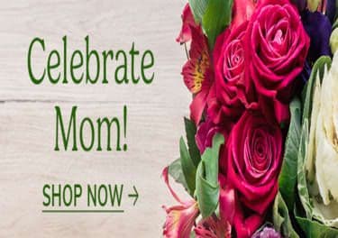 Illusion Flower Shop