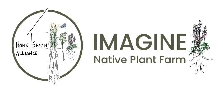 IMAGINE Native Plant Farm