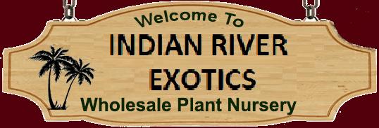 Indian River Landscaping Services