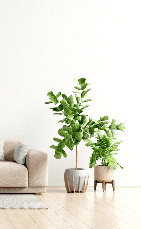 Indoor Garden Center