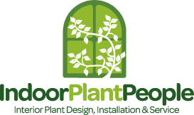 Indoor Plant People