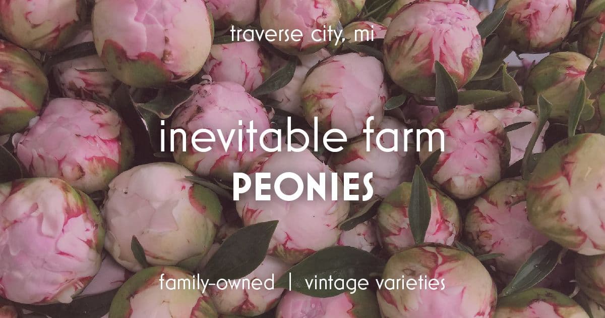 Inevitable Farm Peonies