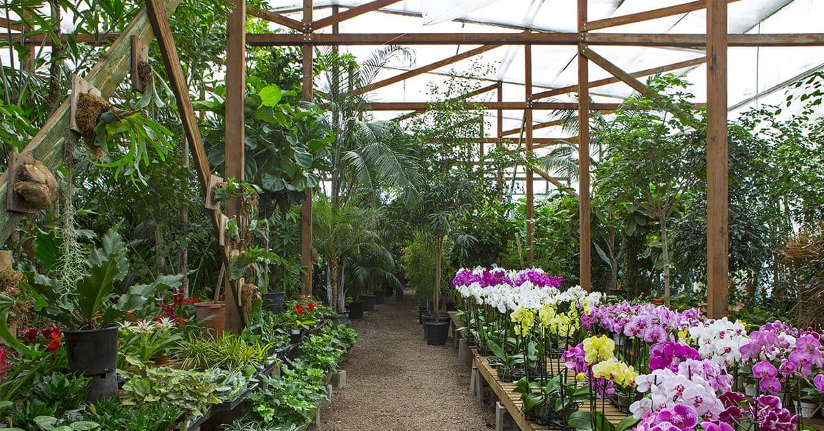 Inner Gardens