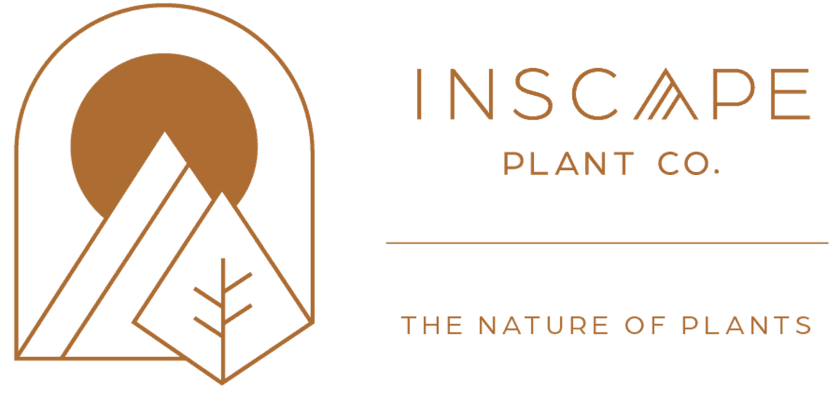 INSCAPE PLANT CO