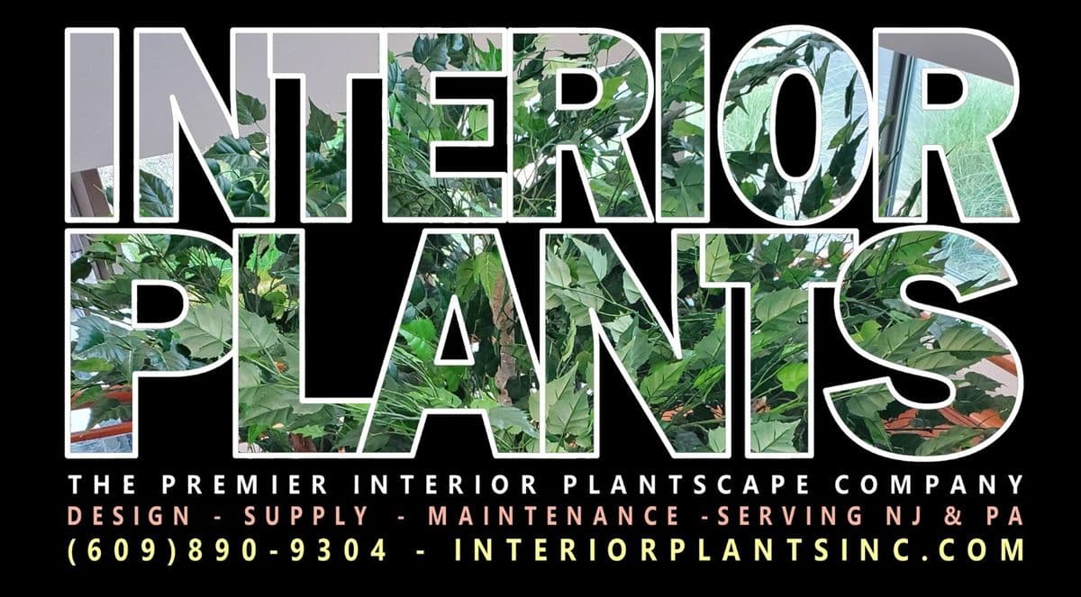 Interior Plants
