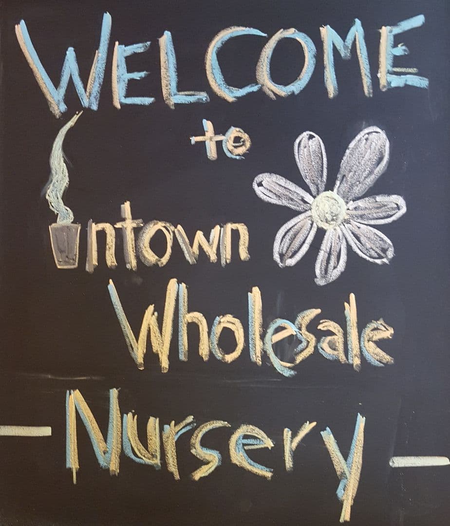 Intown Wholesale Nursery